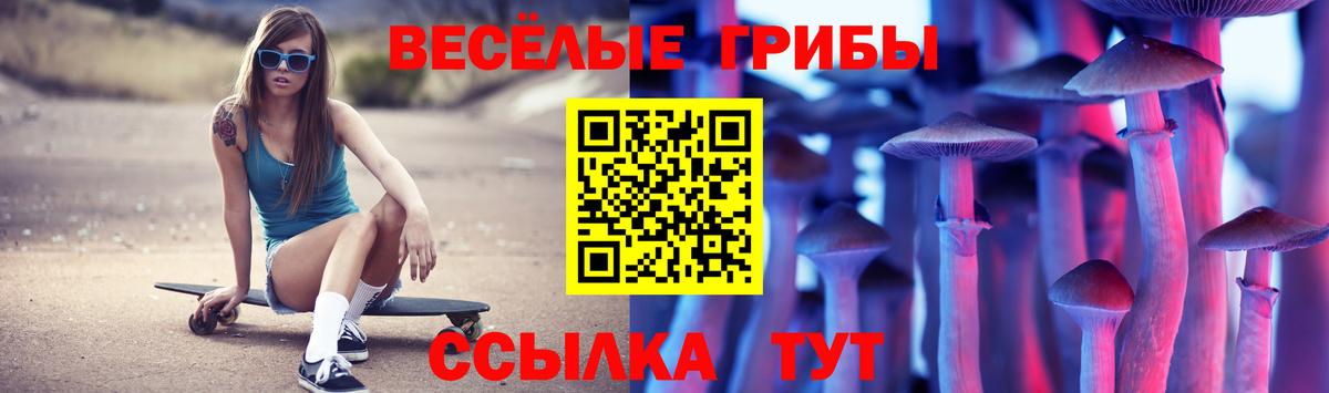 закладки  Псилоцибиновые грибы мухоморы  Псилоцибиновые грибы Psilocybine cubensis  Вход с VPN  Кувандык 